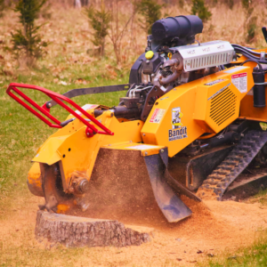 Tracked Stump Grinders